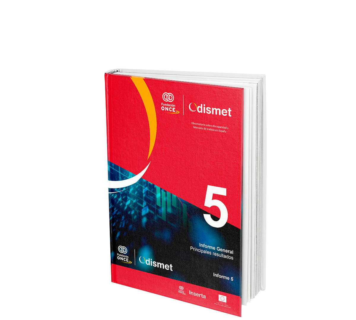 Informe 5