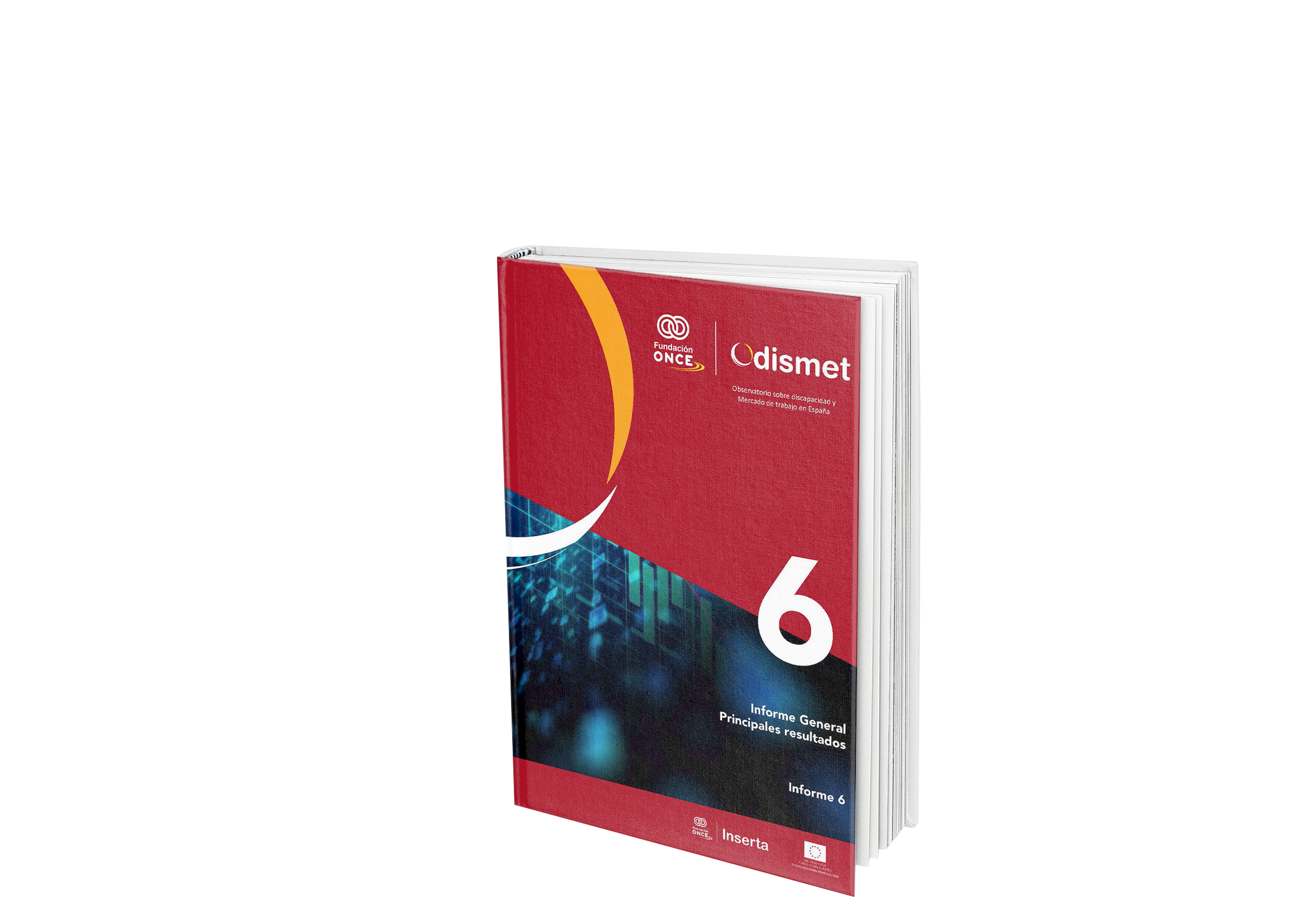 informe 6